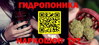 спайс Шелехов