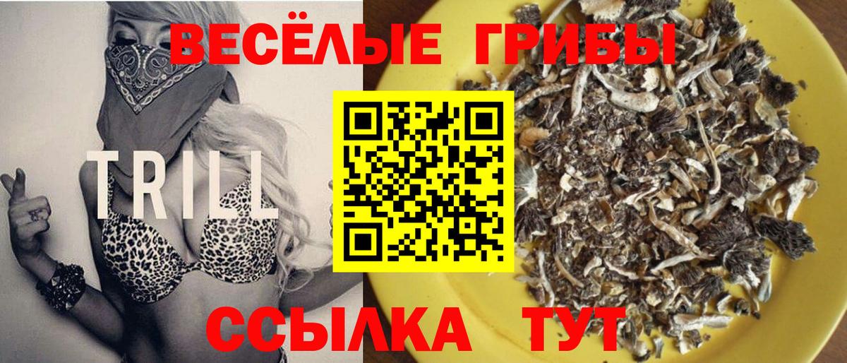 Псилоцибиновые грибы Cubensis  Вход с VPN  Джанкой 